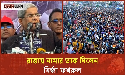 যে কারণে আবার রাস্তায় নামতে বললেন মির্জা ফখরুল